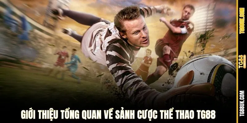 Giới thiệu tổng quan về Thể Thao TG88